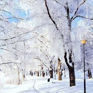 Meet your Posher, Sherri